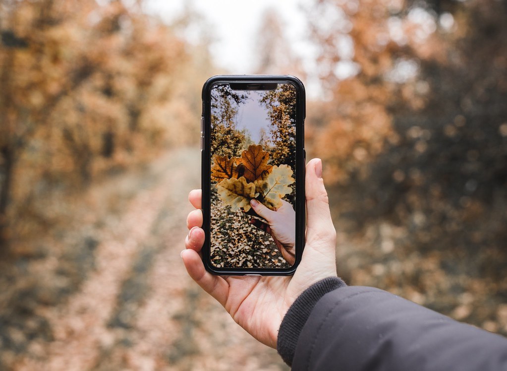 Google Pixel 11 Pro: The Best Comparison for Buyers