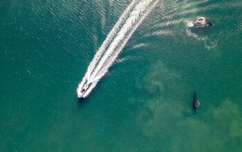 motorboat noise impact